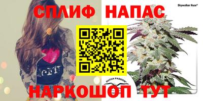 стаф Жуковский
