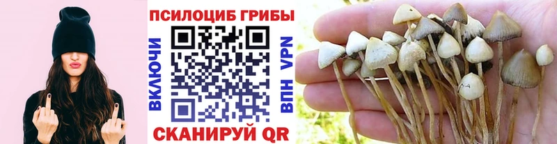 Галлюциногенные грибы Magic Shrooms  Кызыл 